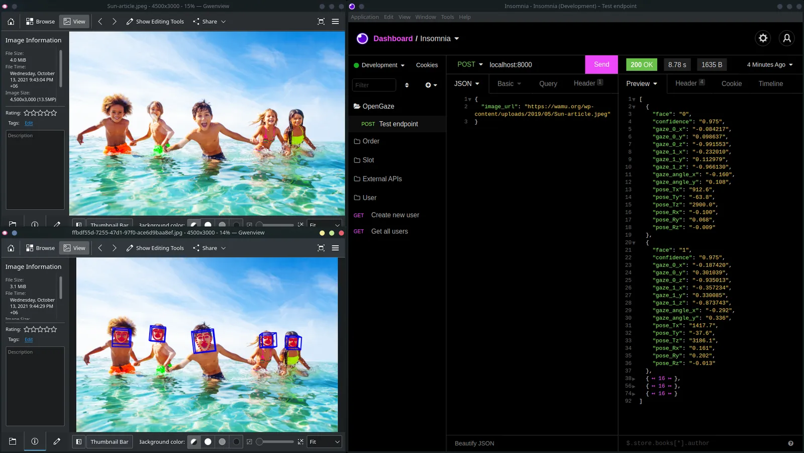 Enlarge the OpenGaze facial analysis and API response example